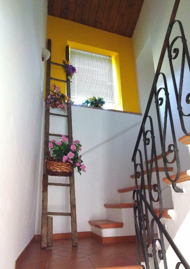 Casa Di Mamma Casa Vacanze Nyaraló ház Genga Kültér fotó